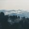 mountains-clouds-forest-fog