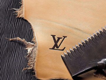 louis-vuitton-WOLV_LM_Brand_protection_DI3